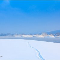 Следы на снегу :: Евгений Баркин