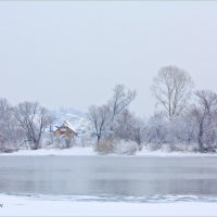 Не замерзшая река :: Евгений Баркин