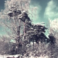 зима :: Сергей Кочнев