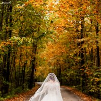 Осенняя свадьба :: Надежда Алексеева