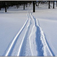 По нетронутой снежной целине :: Андрей Заломленков