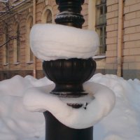 Зимняя модница :: Виктор Никитенко