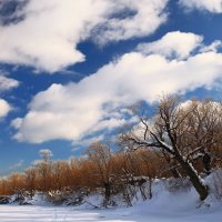 зимним днём на реке :: Владимир Артюхов