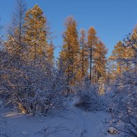 *** :: Александр Давыдов