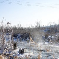 мороз :: Юрий Гайворонский