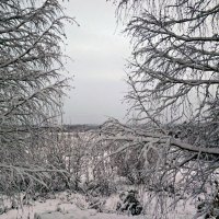 зима :: ВладиМер 