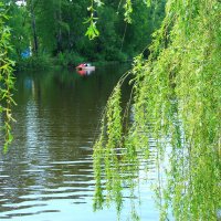 На городском озере :: Владимир Андреевич Ульянов