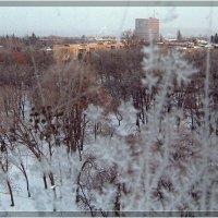 За окном -20 :: Наталья Тимошенко