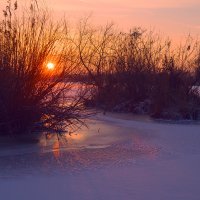 Зимний пейзаж :: Оксана Лада