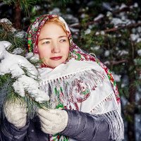Зимний лес :: Аркадий Краснояров