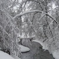 Снежный февраль :: Светлана Петошина