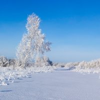 Мороз и солнце ... :: Kassen Kussulbaev