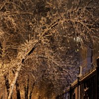 Зима :: Андрей Хомяков
