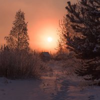 теплый закат морозного дня :: Дамир Белоколенко