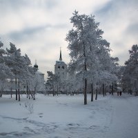 Зимний день :: Андрей Шаронов