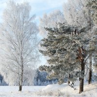 Зимняя сказка :: Nadia Brusnikova