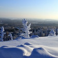 В морозном плену :: Галина Ильясова