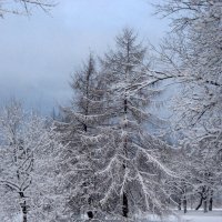 Зима :: laana laadas