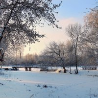 Зима :: Павлова Татьяна Павлова