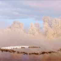 Нежно розовый тумна :: Александр Потапов