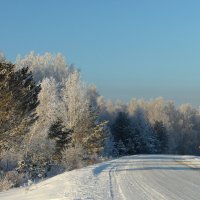 По Сибирским дорогам. :: nadyasilyuk Вознюк