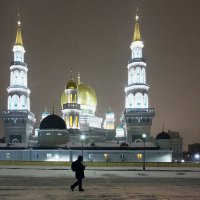 мечеть на олимпийском :: Владимир Гулевич