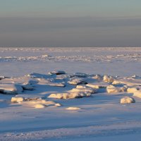 На берегу Белого моря :: Иван Клещин