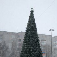 *** :: Валентина Береснева