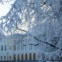 зима михайловский дворец :: georg 