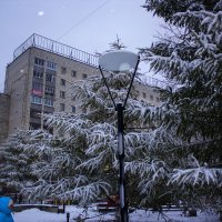 Пушистый снег на ели.2015 :: Артём Бояринцев