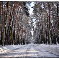 Зима :: Виктор Журбенков
