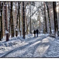 Зима :: Виктор Журбенков