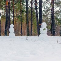 Снеговики.. :: Юрий Стародубцев