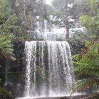 Водопад Расселл, Russell Falls,Тасмания :: Антонина 