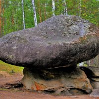 Каменный гриб :: Сергей Чиняев 