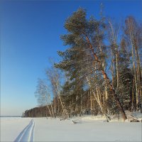 Зимний пейзаж №2 :: Алексей Макшаков