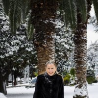 Зима в Сочи. 3 января :: Вера Кочергина
