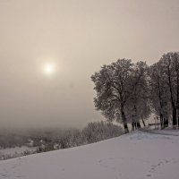 Зимний туман :: Светлана 