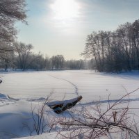 Зимний день. :: Александр Селезнев