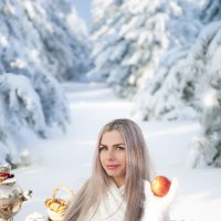 Рождественский лес :: Наталья Лебедева