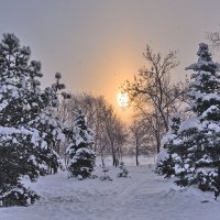 Снег и солнце :: Николай Белавин