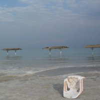 На пляже Мёртвого моря :: Надежда 