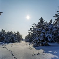 Где-то за городской чертой ... :: ALEXANDR L