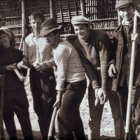 Студенты в колхозе. 1968 год :: Нина Корешкова