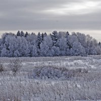 Зимний пейзаж :: Ольга Осовская