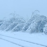 Зима :: Надежда Акушко 