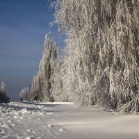 *.* :: Владимир Григор