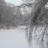 Городской парк. :: Милана Гресь