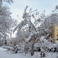 Зима в городе :: veera v
