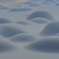 Пластика снега :: Валерий Толмачев